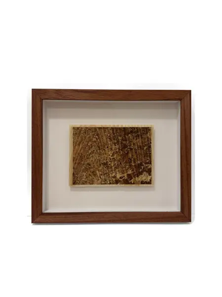 North of Plainsong 4