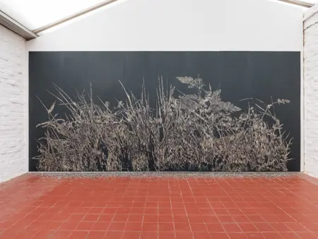 A Brightness At The Edge of Things