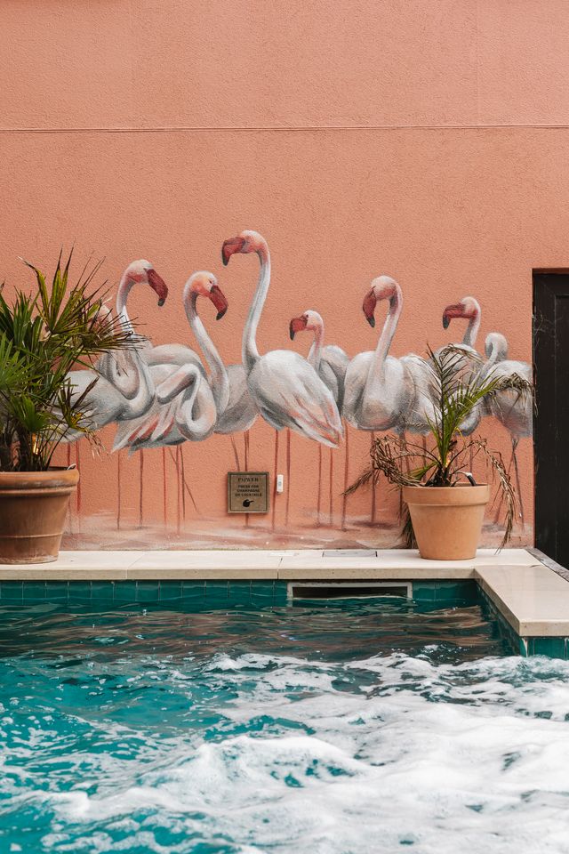 Wall Mural looking at the pool in The Dean Galway